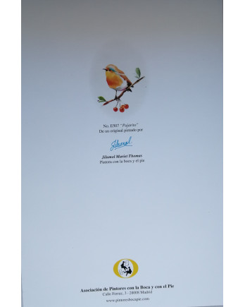 Papel de carta con pajarito en varios colores | Papelería bonita – La estantería