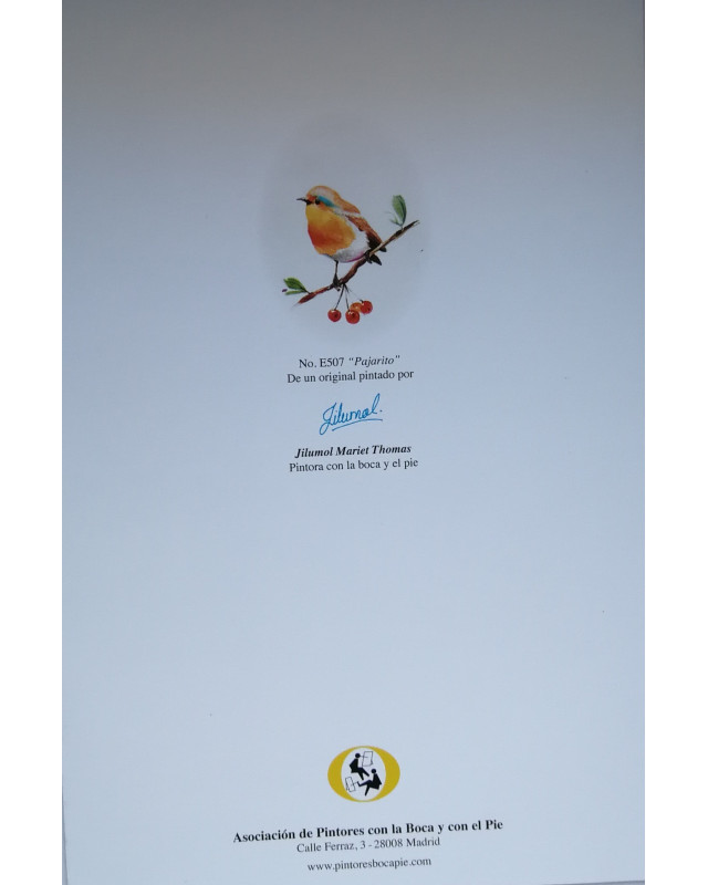 Papel de carta con estampado de pajarito | Papelería creativa